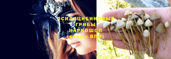 мескалин Арсеньев