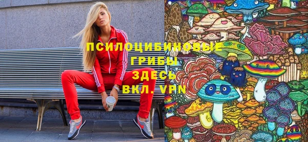 мескалин Арсеньев