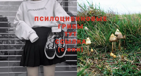 тгк Армянск