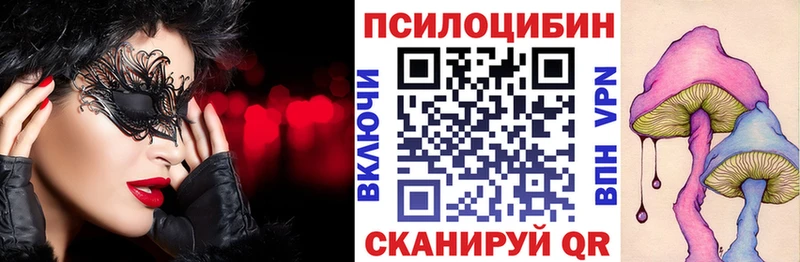 Купить  Славянск-на-Кубани  Псилоцибиновые грибы Psilocybine cubensis 