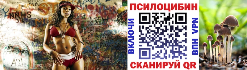Галлюциногенные грибы Psilocybe Славянск-на-Кубани
